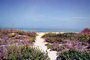 Ferienhaus: Venice, Florida, Golf von Mexico, Florida