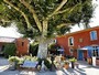 Ferienhaus: Les Vign�res, Avignon-Orange-Mont Ventoux, Provence