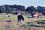 Ferienhaus: Prasdorf, Ostseek�ste, Schleswig-Holstein
