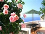 Ferienhaus: Costiera Amalfitana - Furore (SA), Amalfik�ste, Kampanien