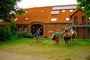 Ferienhaus: Kappeln, Ostseek�ste, Schleswig-Holstein